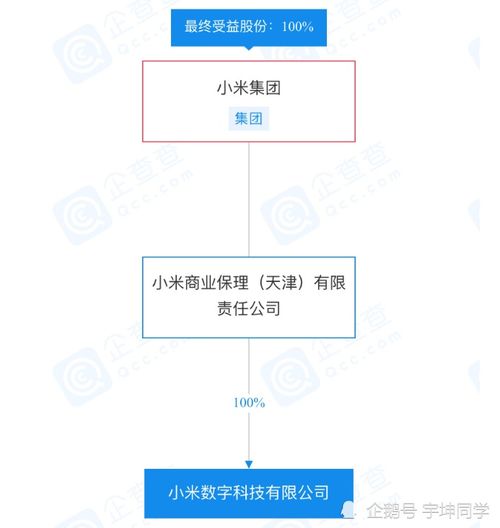 小米數字科技經營異常引關注，旗下小米支付及信息系統運行維護服務將受何影響？